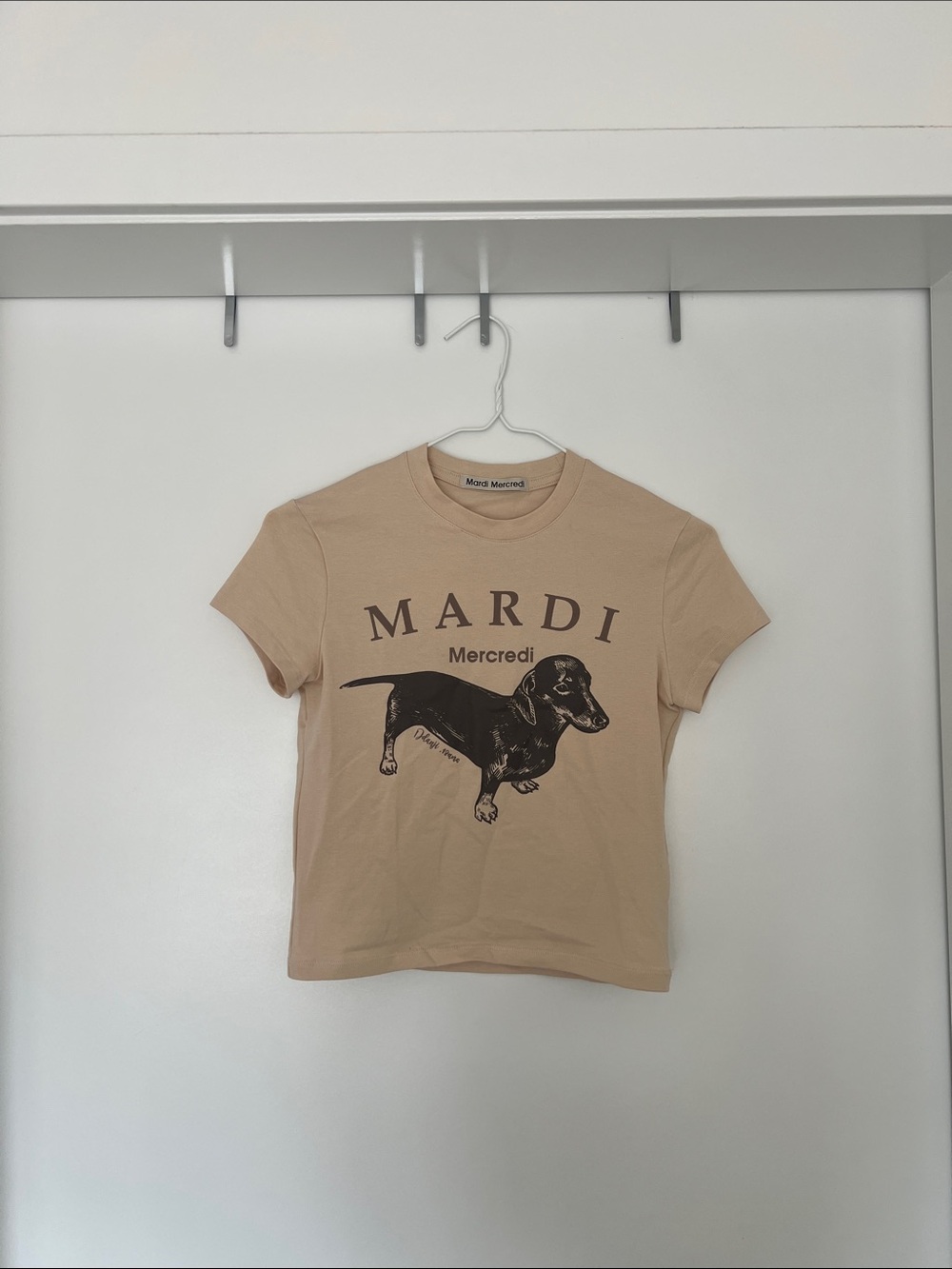 Beige Graphic Tee with Dachshund